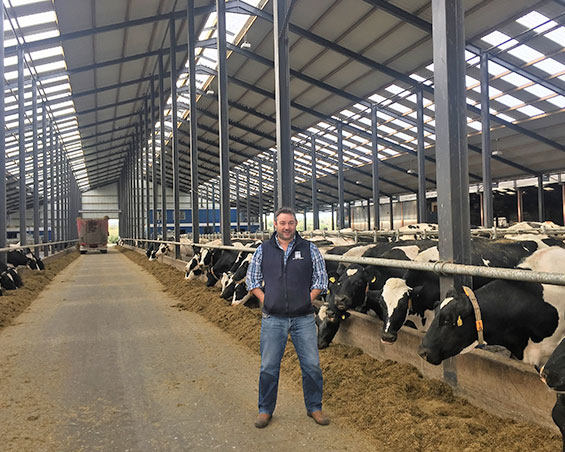 dairy focus