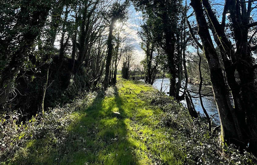 efficient waste management